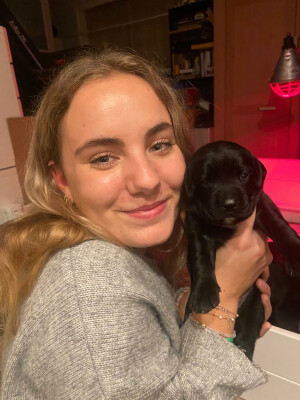 Tessa zoekt een Appartement / Huurwoning / Studio / Kamer in Enschede